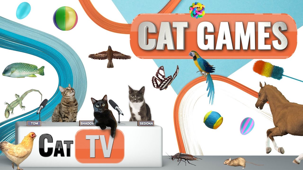 КОТ-игры | Лучшая подборка Cat TV, том 40 | 2 ЧАСА 🐝🐞🦋🦎🦜🐜🐭🧵