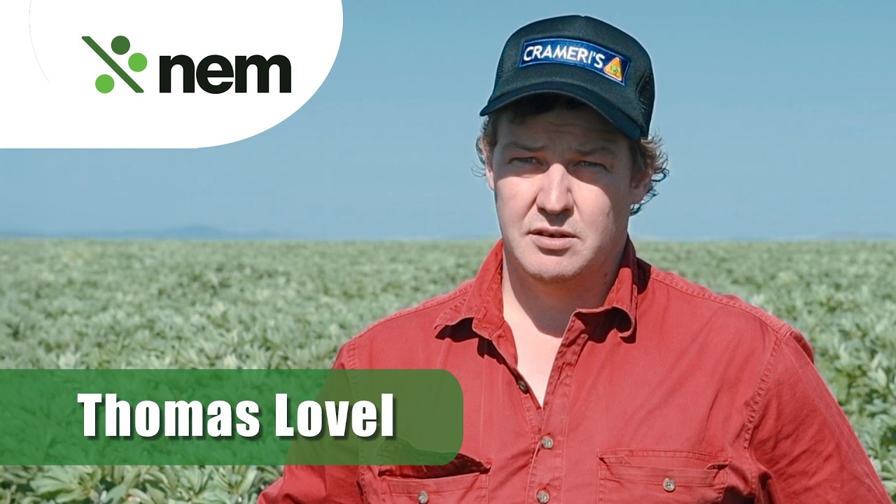 Thomas Lovel discusses NoduleN on beans | New Edge Microbials