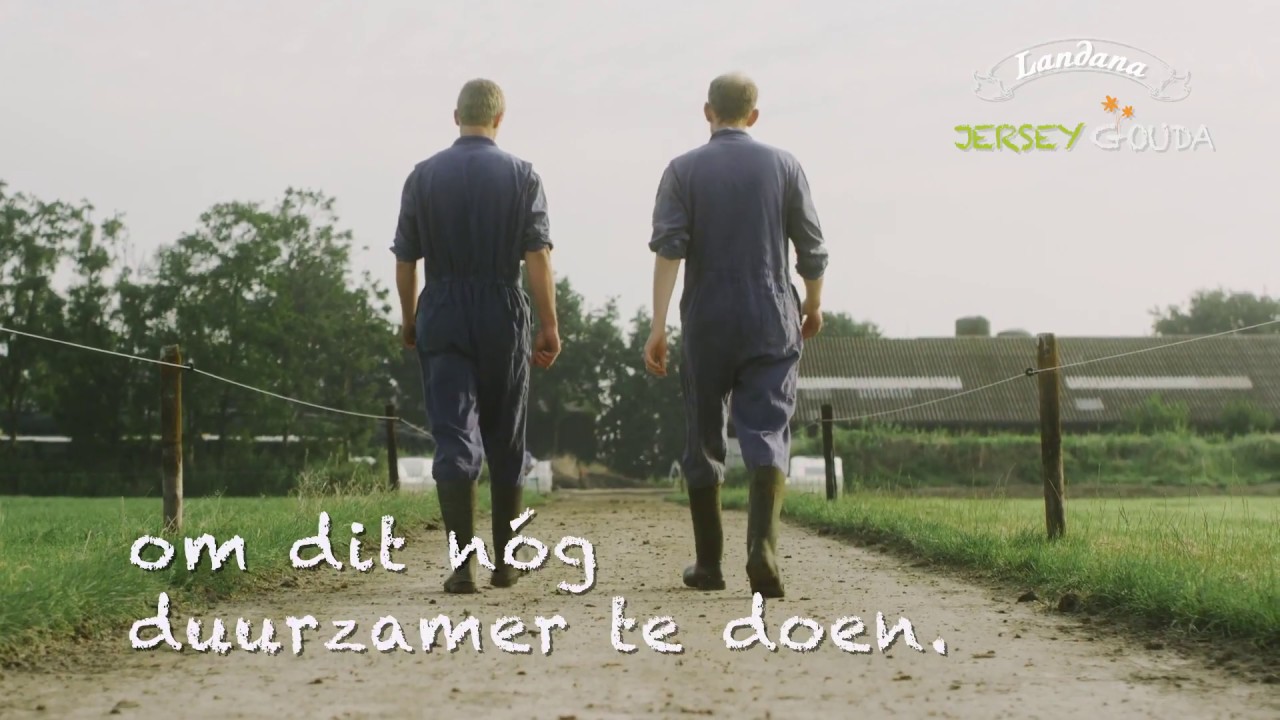 Landana Jersey Gouda - ANDERE koe, ANDERE melk, BETERE Gouda!