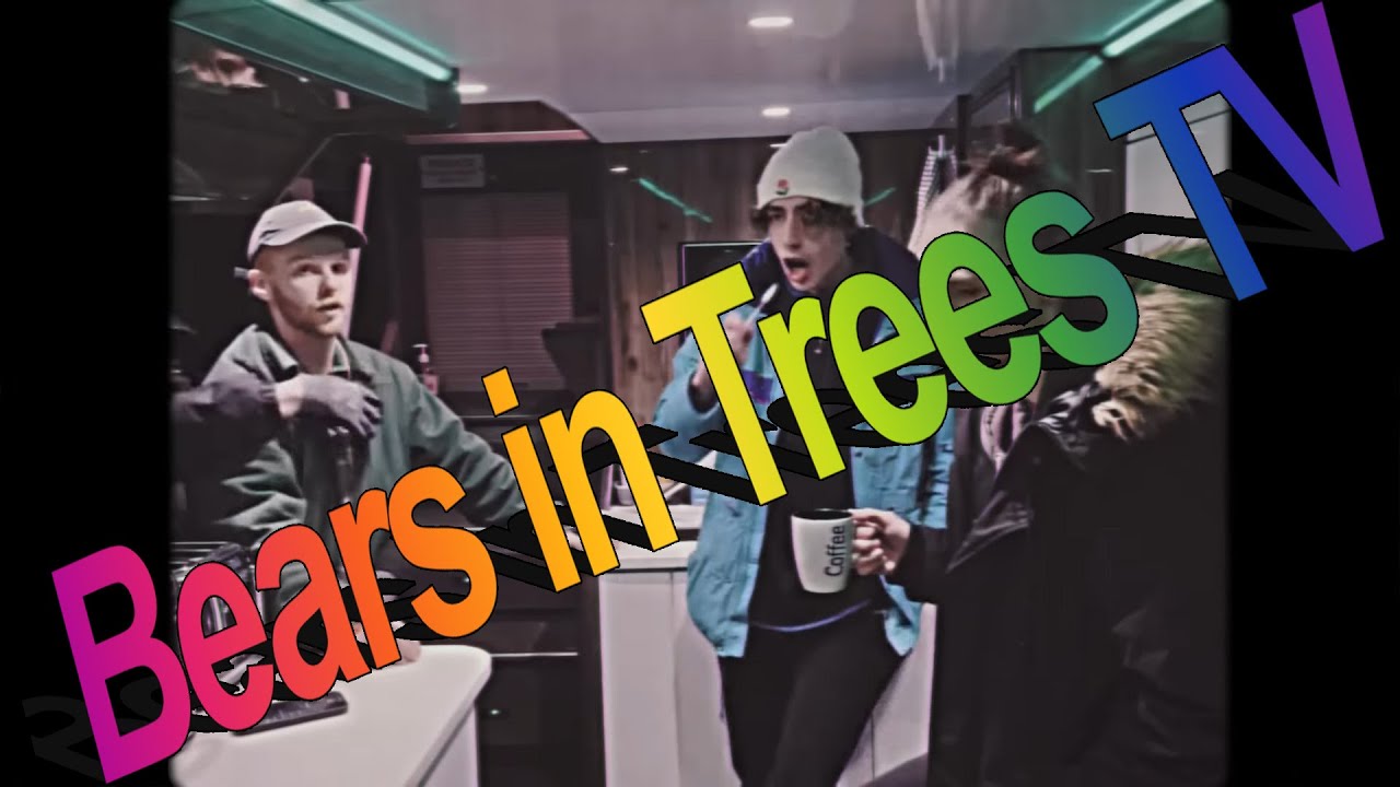 Bears in Trees TV - Tour Special