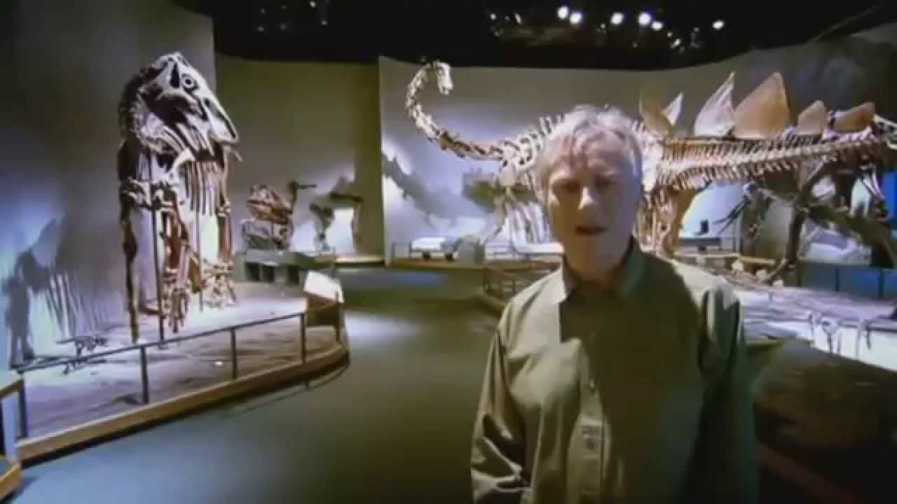 Richard Dawkins: La raíz de todo mal