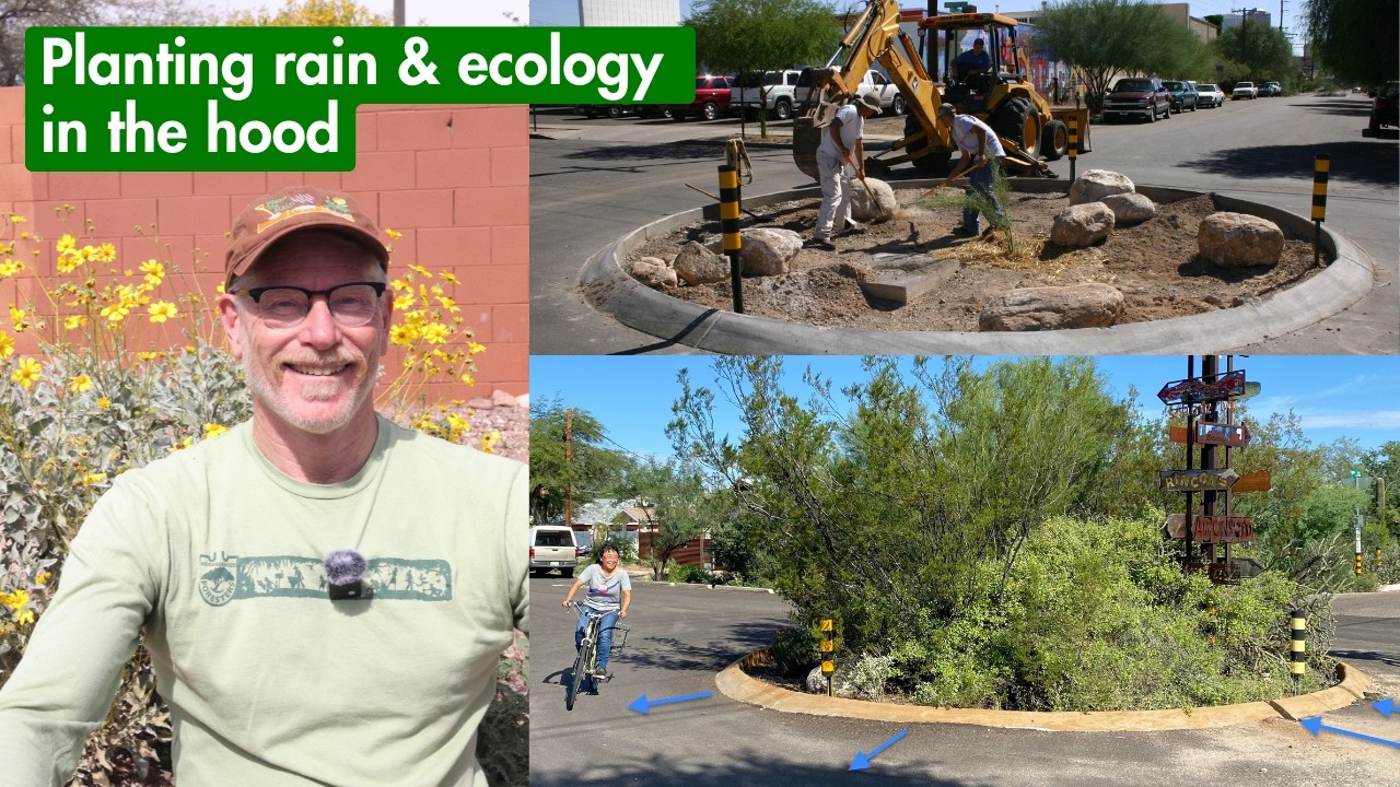 We turned weeds into wildflowers & pavement into oases!