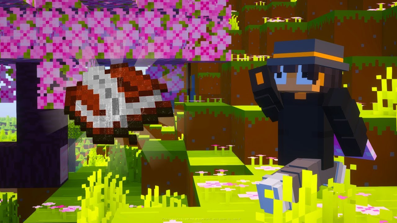 How To Make YOUR Minecraft SMP Applications Stand Out
