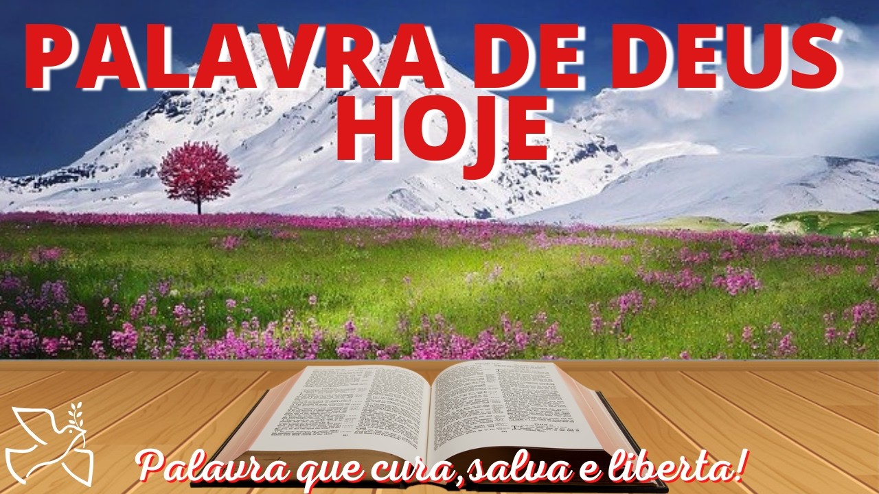 Palavra de Deus para mim hoje | Milagres não dependem do que vemos, mas do quanto cremos (Mc 6,1-6)