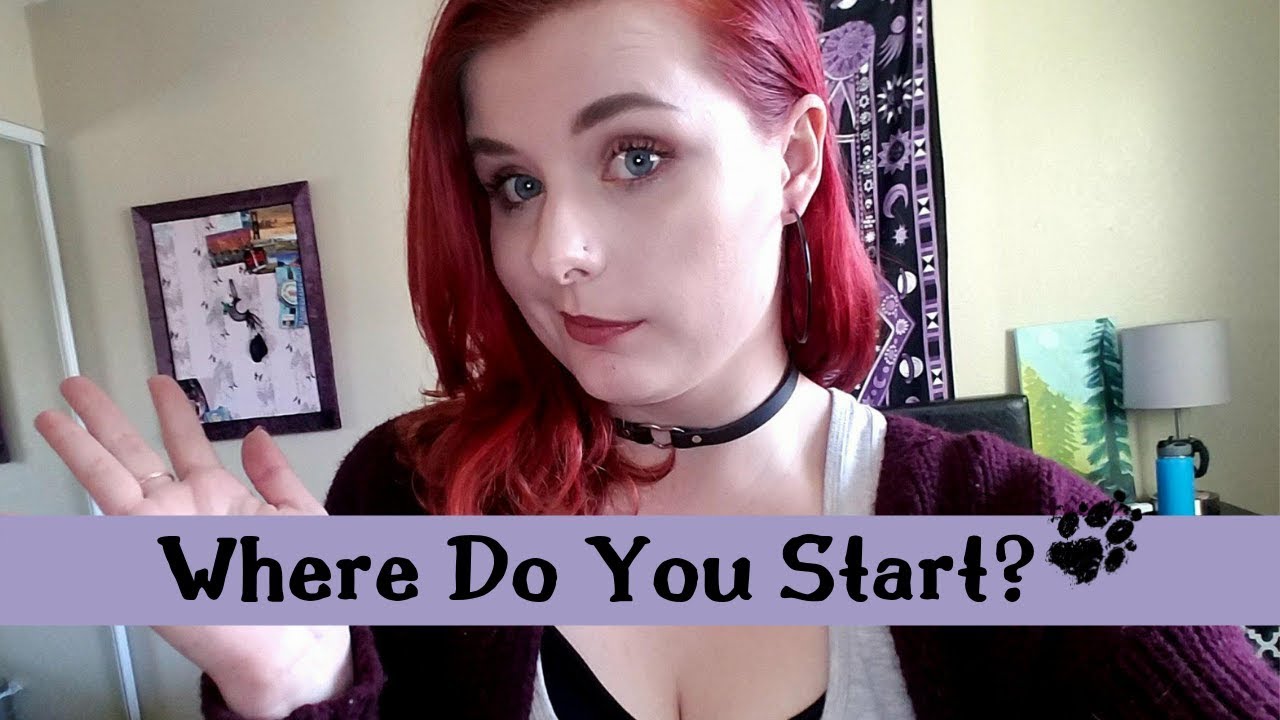 How to Become a Vet Tech - The Steps You Need To Take