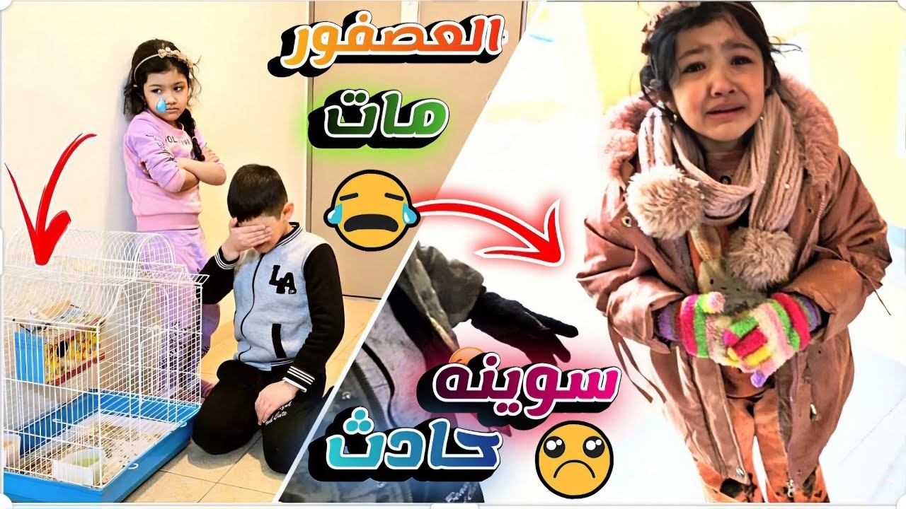 عصفور 🐦 مسوكه مات 😟 | سوينه قبر للطير | سوينه حادث بالدراجة بالمطر 🛵😥 | يوم عصيب 😭