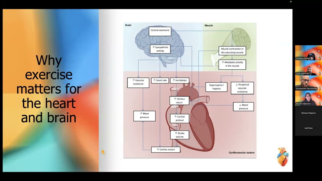 Sesión 13: Actividad física segura y beneficiosa para el corazón y el cerebro