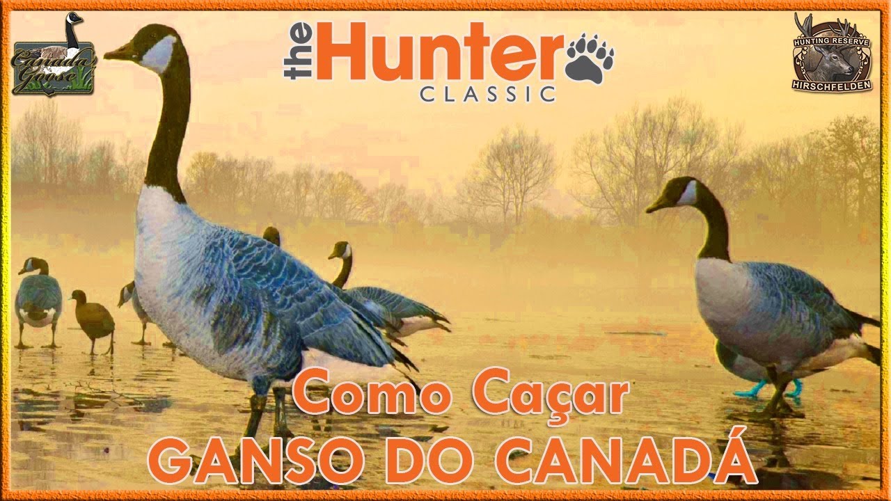 COMO CA&Ccedil;AR GANSO DO CANAD&Aacute; - TheHunter: Classic