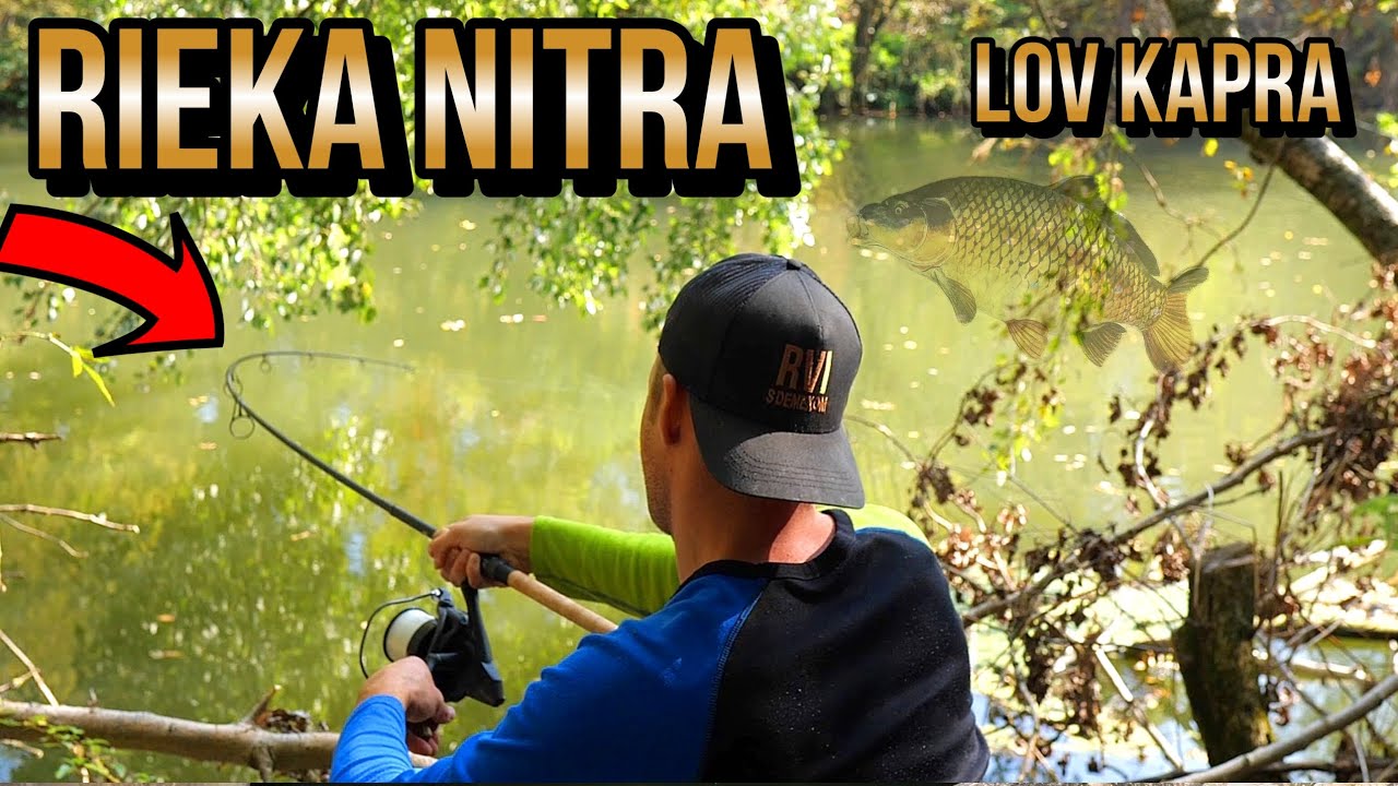 Výprava - Lov Kapra na Rieke 😇🎣 Rieka Nitra 🐭 lov rýb kaprů kaprov na řece na boilies 🐛