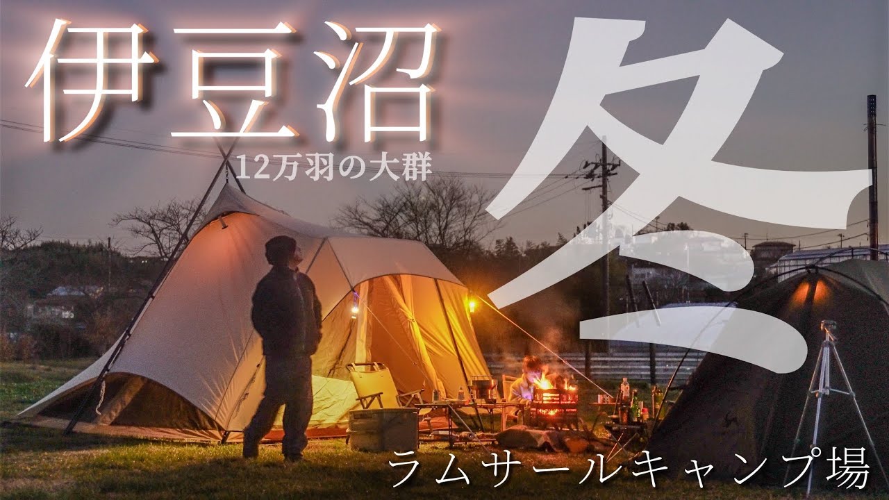伊豆沼ラムサールキャンプ場~12月のマガン~
