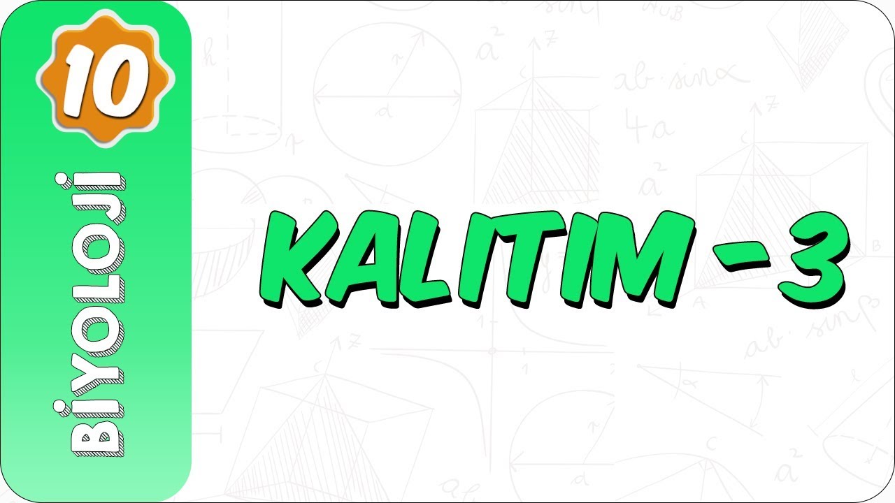 10. Sınıf Biyoloji | Kalıtım- 3