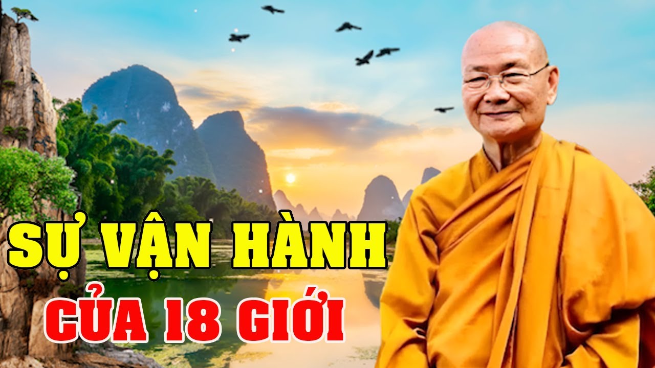 Sự Liên Hệ Giữa Ngũ Uẩn Và 18 Giới | Thầy Viên Minh Giảng | Pháp Thoại Vấn Đáp
