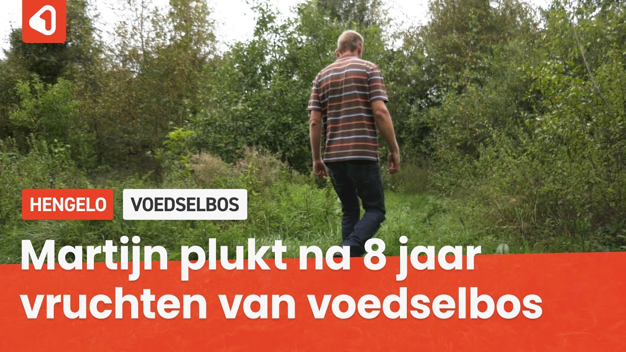 Martijn Aalbrecht plukt vruchten van een van Twentes eerste voedselbossen