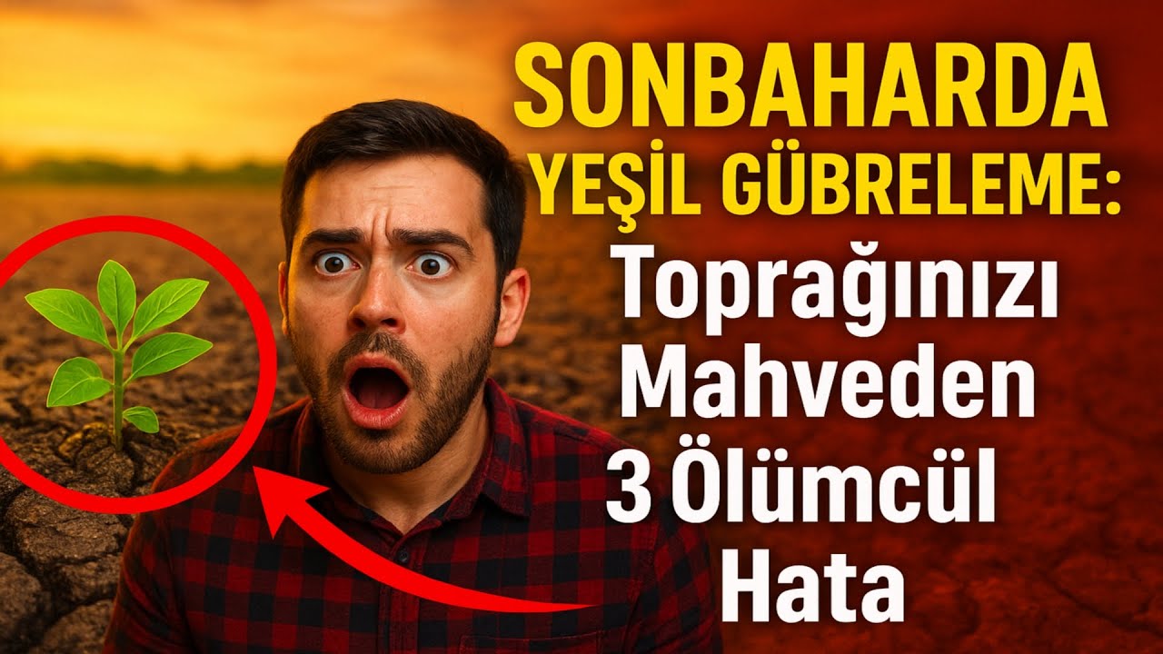 SONBAHARDA YEŞİL GÜBRELEME: Toprağınızı Mahveden 3 Ölümcül Hata 🌱