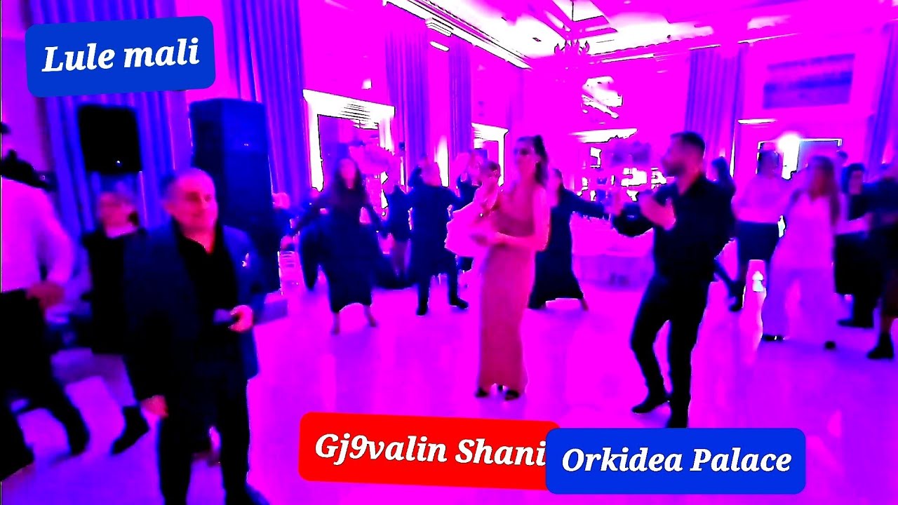 Lule Mali Gjovalin Shani at Orkidea Palace