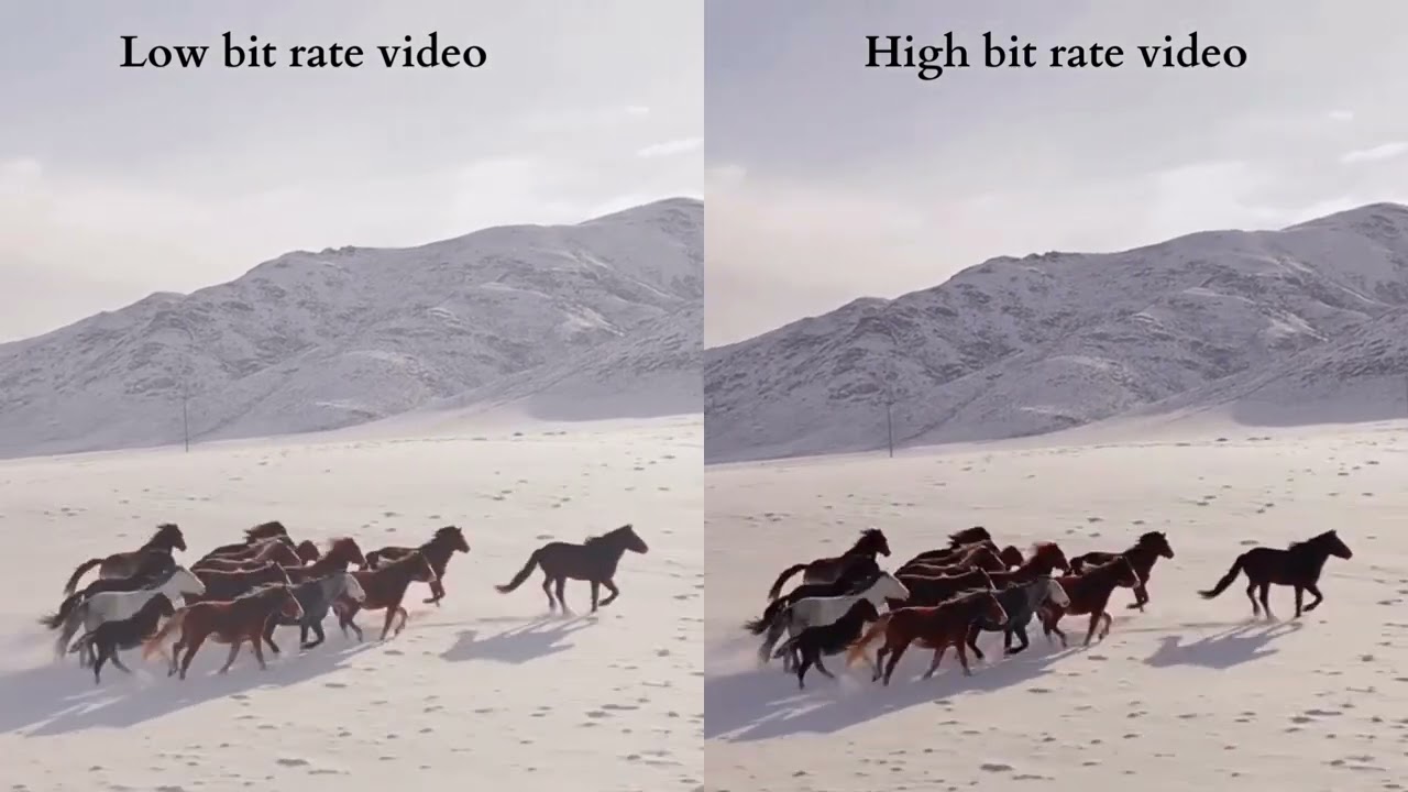 Low Video Bitrate vs High Video Bitrate and its Video Quality