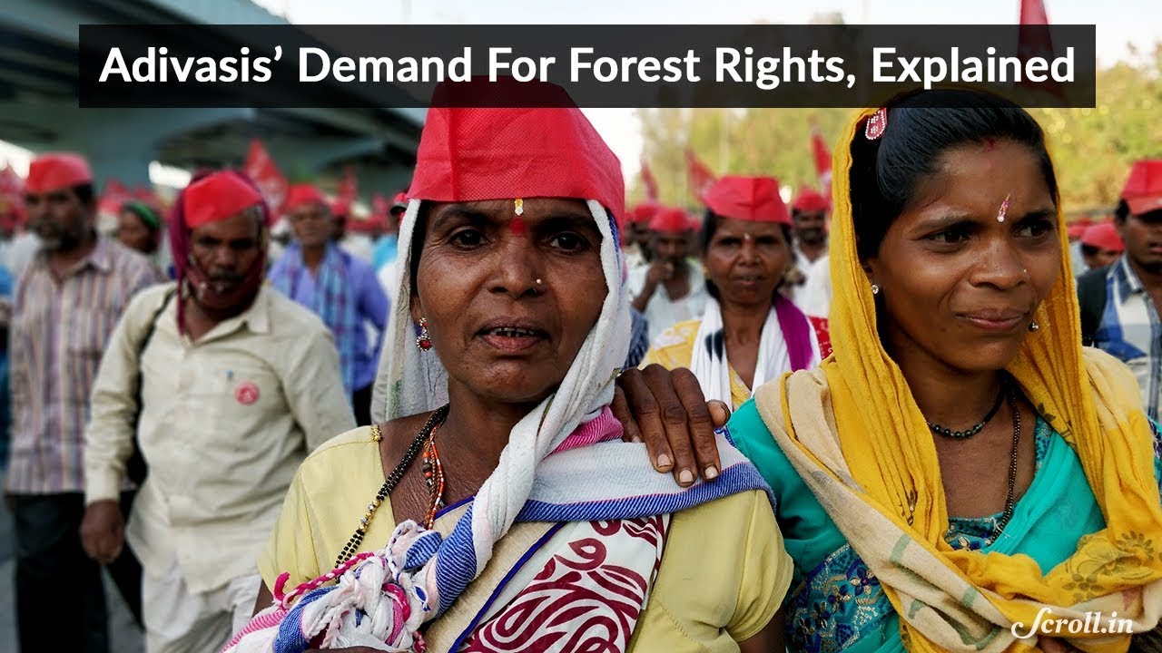 Why Adivasis Want the Forest Rights Act Implemented