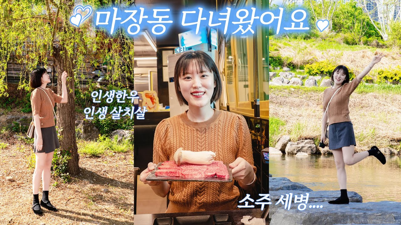 [일상 브이로그] 마장동에서 인생한우를 먹다 |살치살|채끝등심|용두공원|