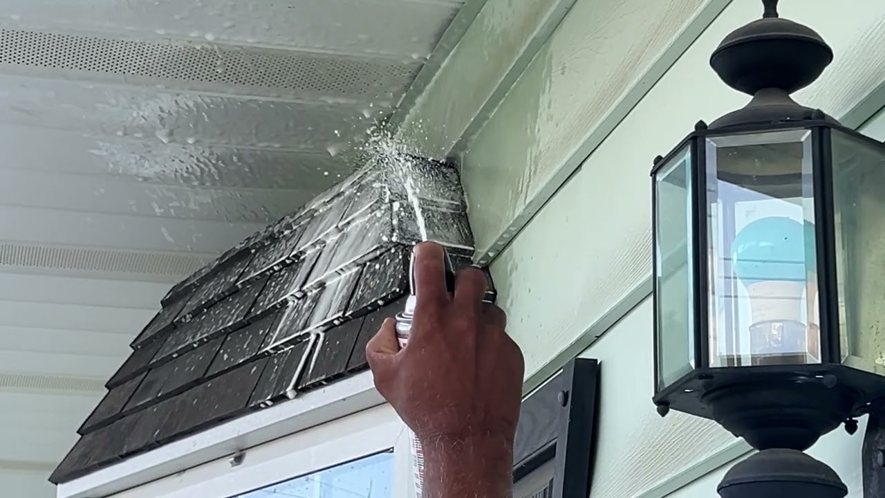 INSTANT (WASP) DEATH: Which Wasp Spray is basically a FLAMETHROWER 🔥??