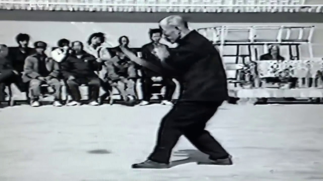 Xingyiquan 12 animals. Zhao Yongchang (趙永昌)
