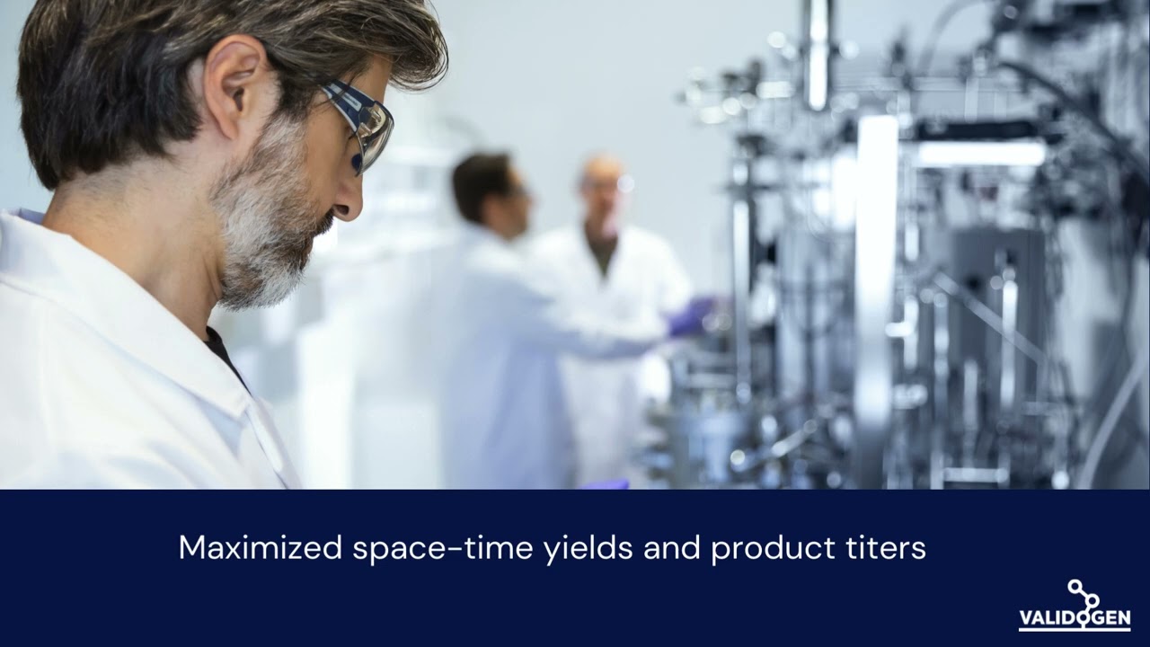 Pichia pastoris protein expression excellence I VALIDOGEN