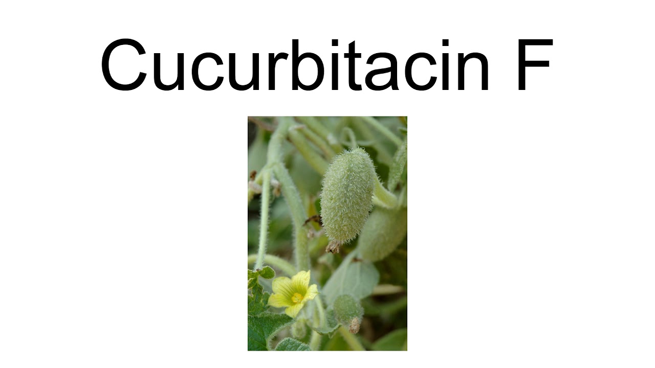 Cucurbitacin