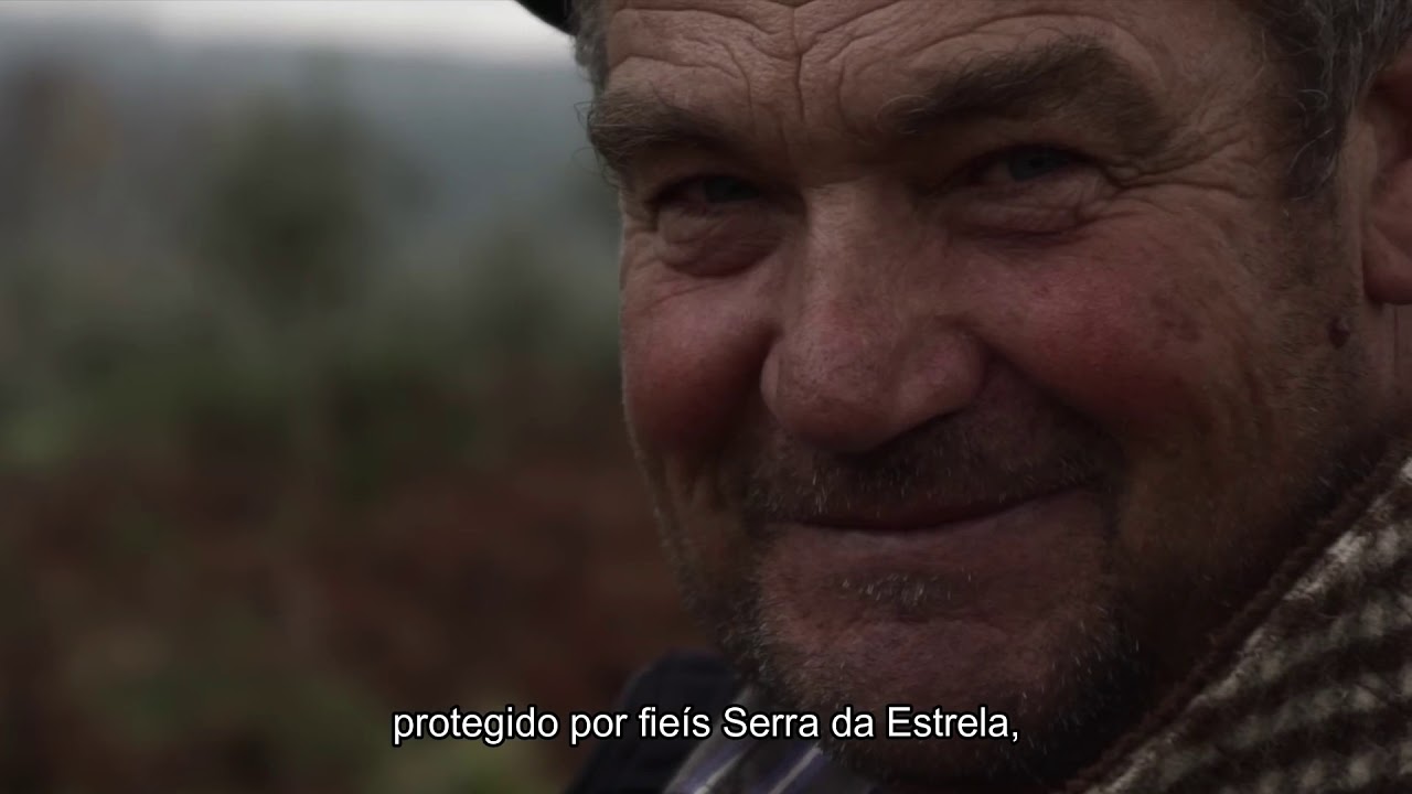 Beira Alta - A regi&atilde;o que quer conhecer!!!