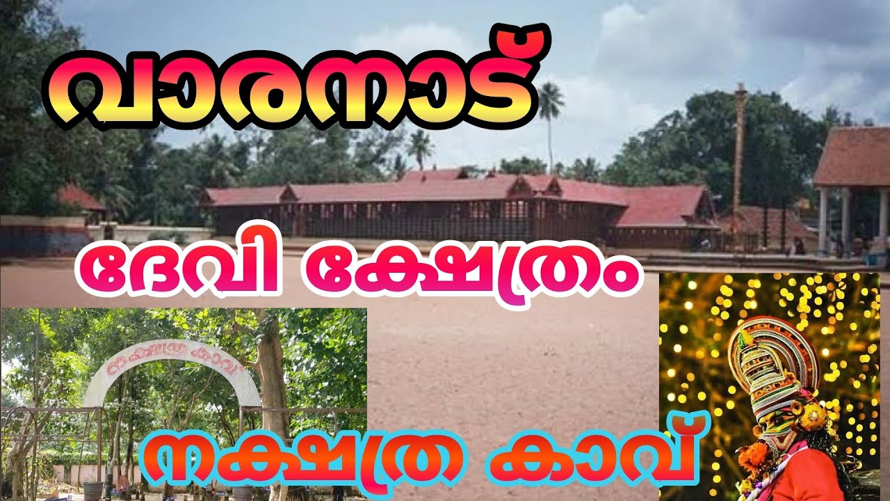 Varanad Devi Temple Cherthala | ചേർത്തലയിലെ വാരനാട് ദേവി ക്ഷേത്രവും ക്ഷേത്രത്തിലെ നക്ഷത്രക്കാവും