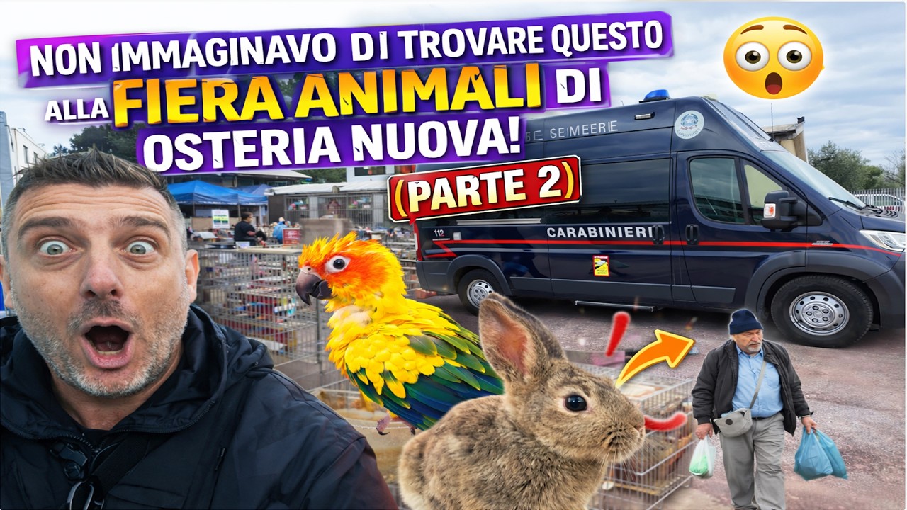 Non immaginavo di trovare questo alla Fiera Animali di Osteria Nuova! Parte 2 #fieraanimali #galline