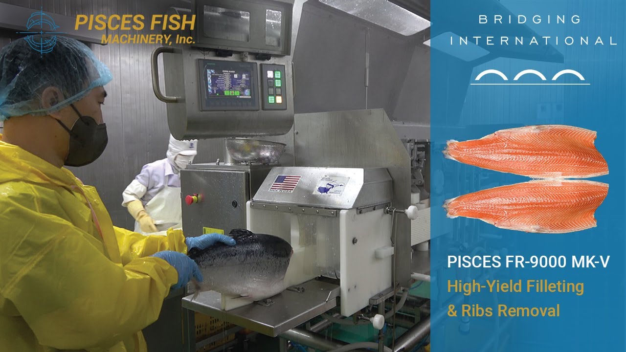 FR-9000 高出成开片和腹刺去除
