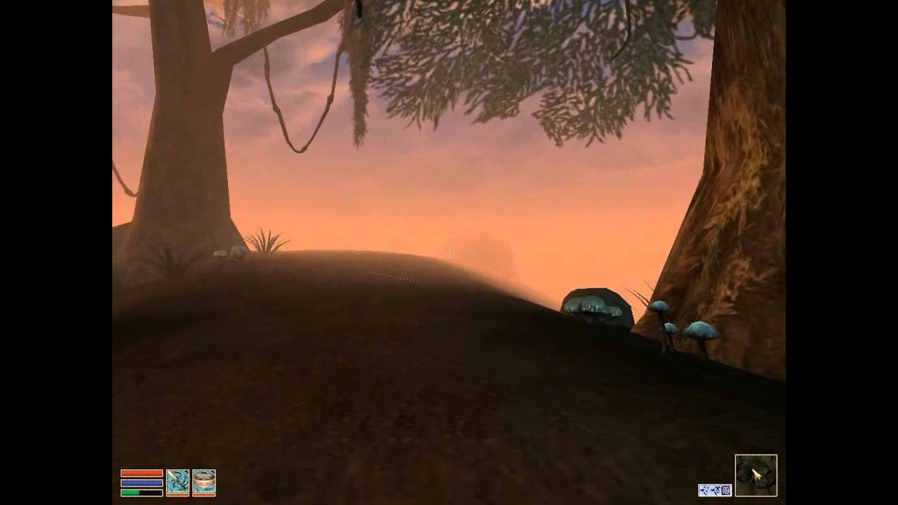Morrowind A Falling Wizard