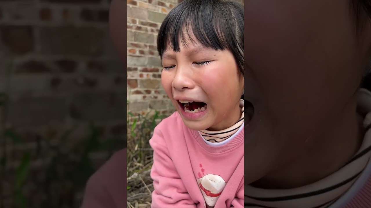 I actually ate oysters|Chinese Mountain Forest Life and Food #Moo TikTok#FYP