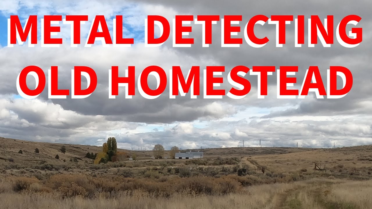 Hunting For Treasure At Old Homestead!