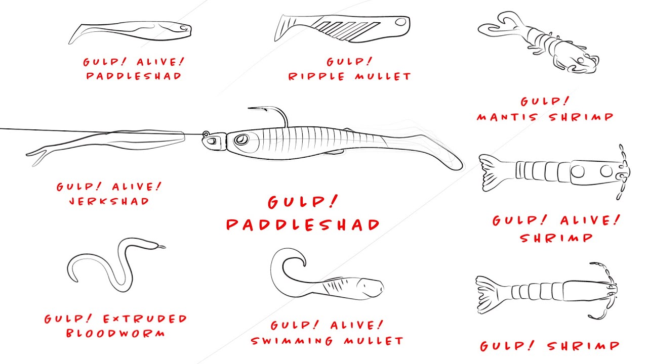 Why Berkley Gulp! Is the Best Fishing Bait to Catch More Fish