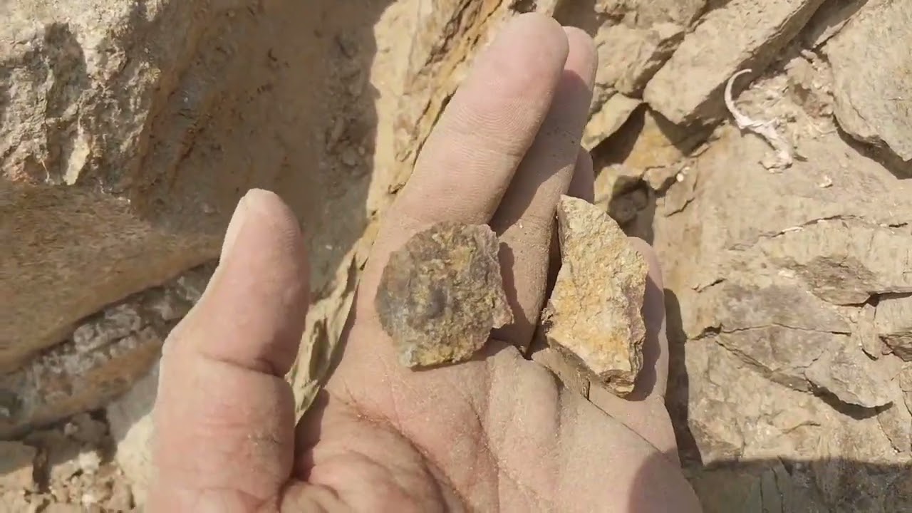 different forms of gold mineral stone| Stone Gold Recovery | Gold Ore Gold