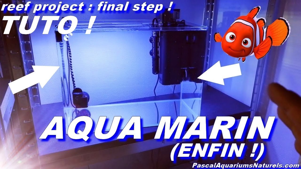Tuto aquarium eau de mer récifal nano ! Reef project : Étape 1 Pascal Aquariums Naturels