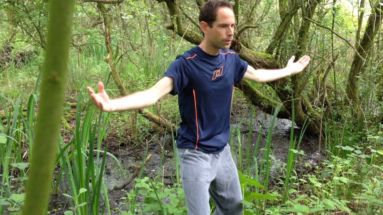 5 elementen Qi Gong