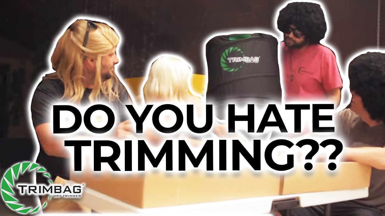 Do You Hate Trimming Weed? | STOP Trimming in the Past and Use Trimbag Instead!