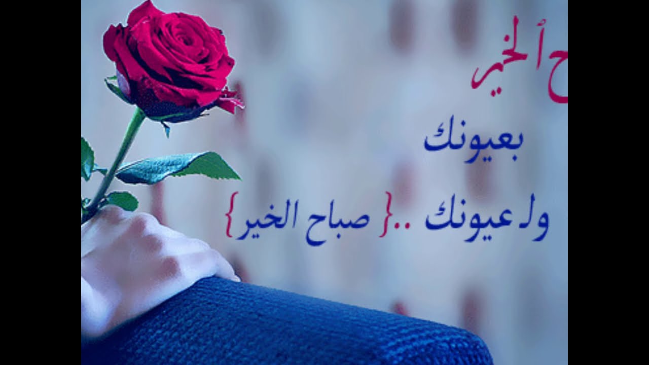 صـباح الخير.وكل الخير
