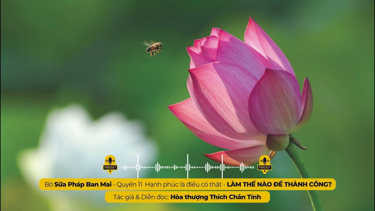 Podcast 104 I LÀM THẾ NÀO ĐỂ THÀNH CÔNG? I Tác giả & Diễn đọc - Hòa thượng THÍCH CHÂN TÍNH