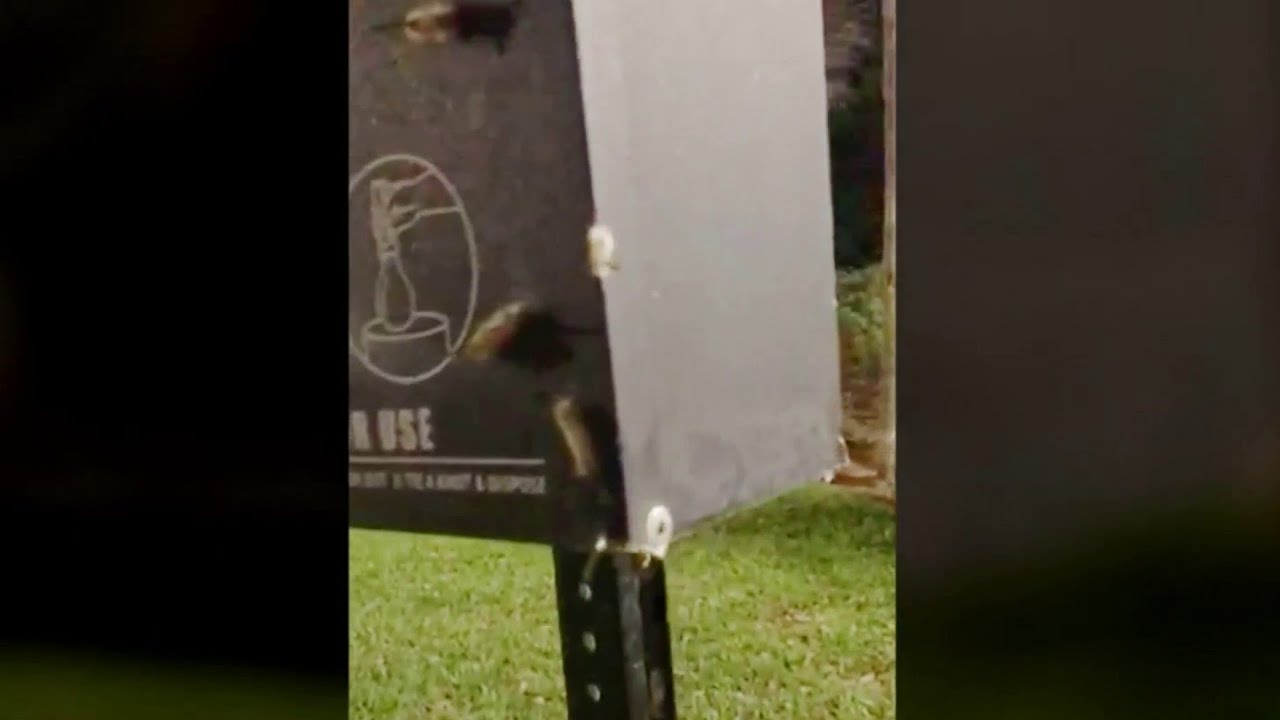 Look out for these hairy caterpillars in Florida. Here's why