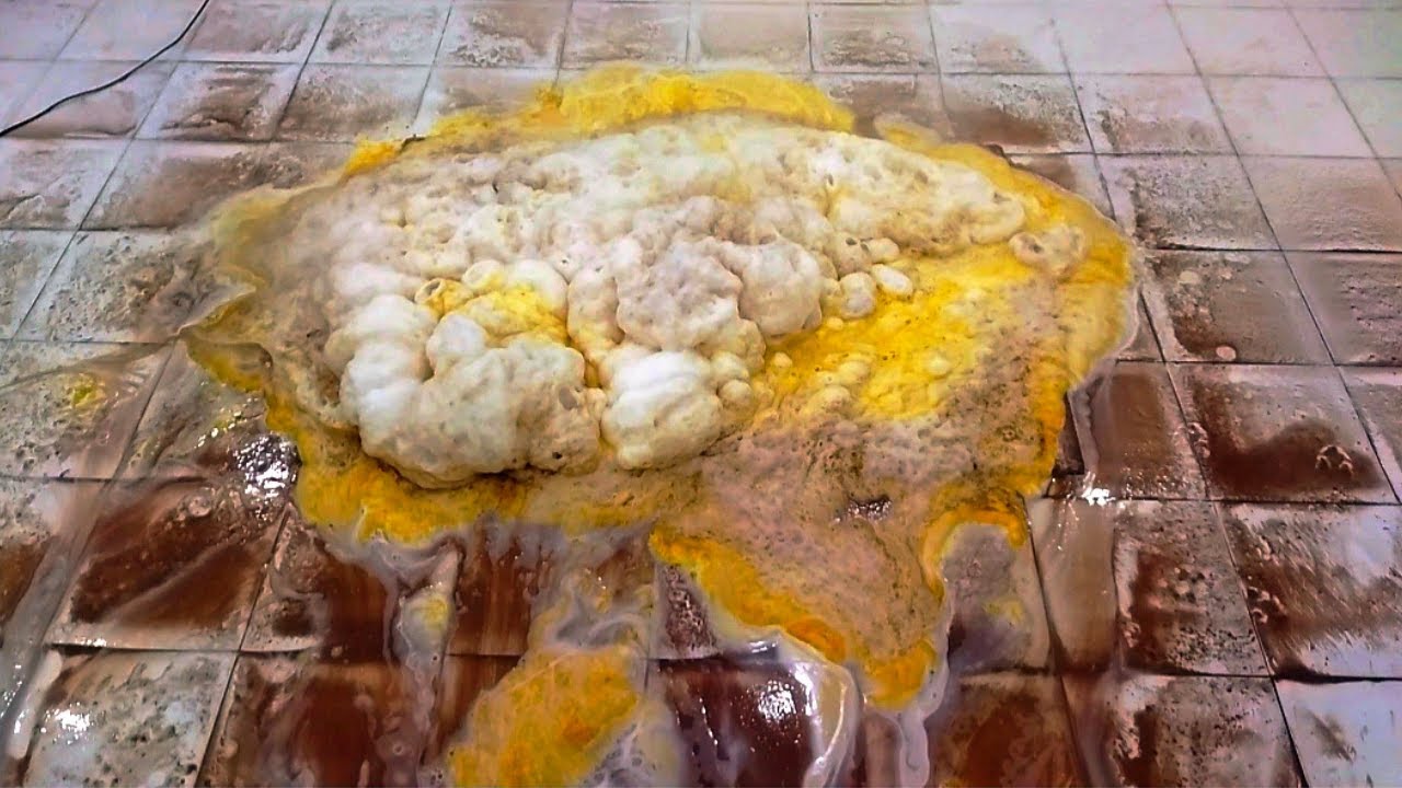 New methot lV Heavy dirty carpet cleaning satisfying ASMR