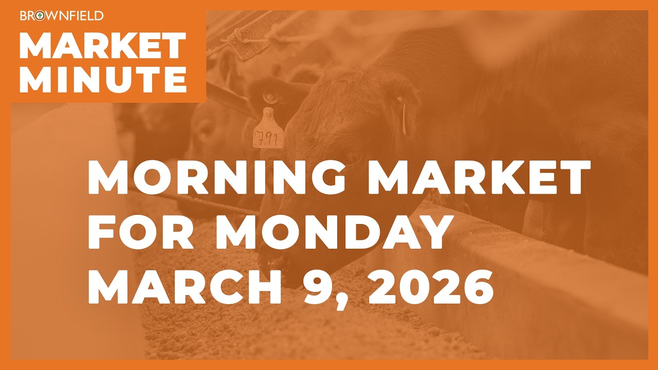Corn was higher overnight | Morning Market Minute