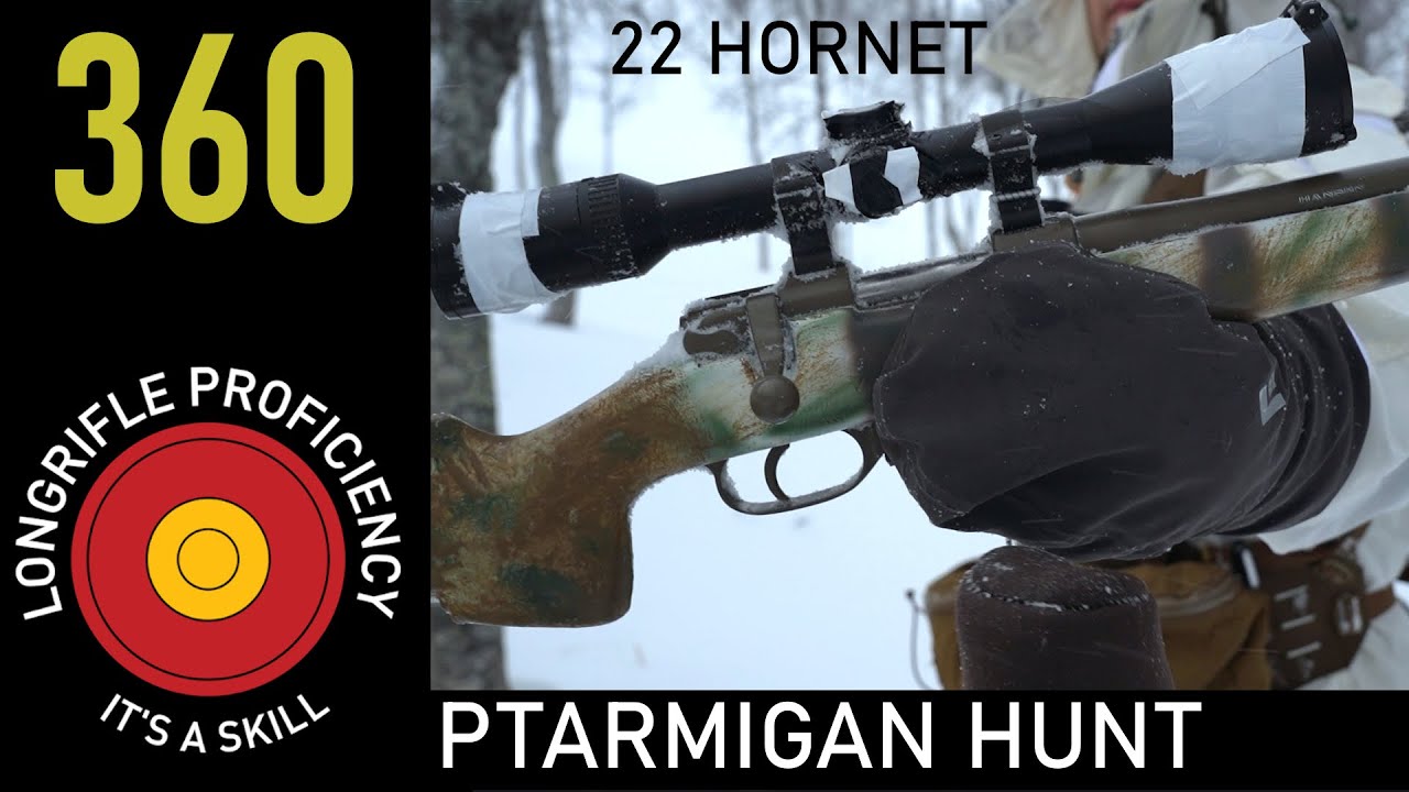 LRB 360: 22 Hornet hunting