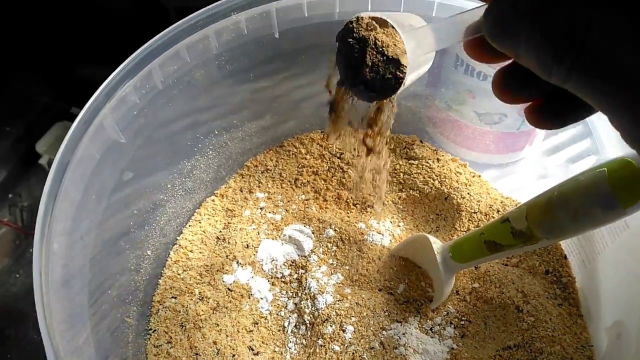 Mi pasta de crías para este año 2017