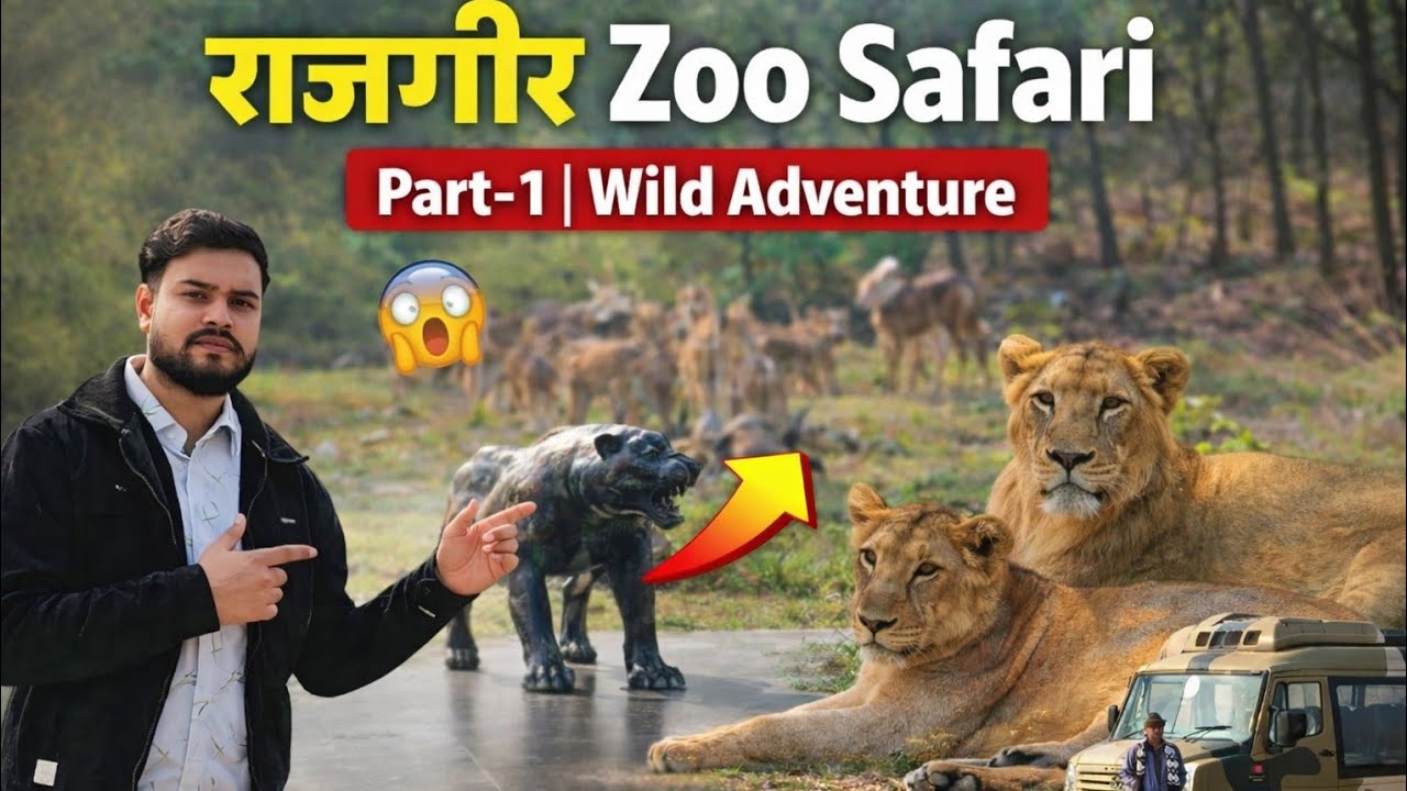 Rajgir Wildlife Zoo Safari Part-1 | Full Adventure Vlog 🎥 | Wildlife Park 🦁 #zoo #vlog #video #viral