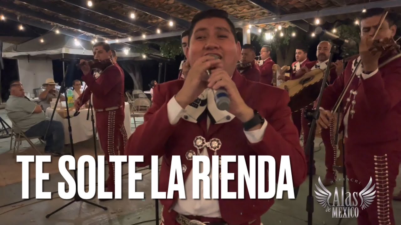 Te Solté la Rienda - Mariachi Alas De Mexico