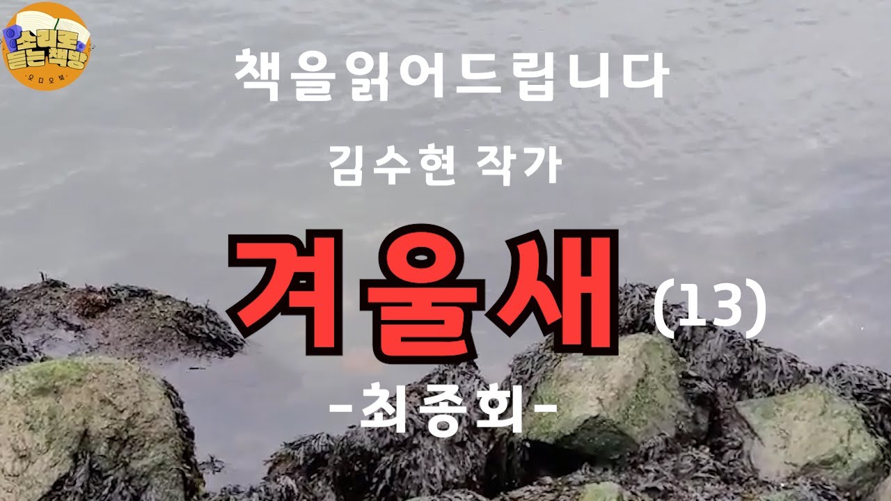 [장편소설오디오북] 겨울새(13) 마지막편 / 김수현작가 /웨딩드레스를 맞추고 집으로 간 영은에게 걸려온 다급한 전화 