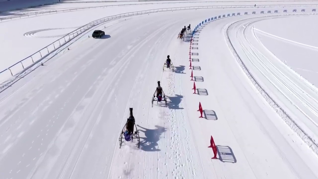 White Turf 2026 WE3  R1 GP Pontresina und hotel Walther
