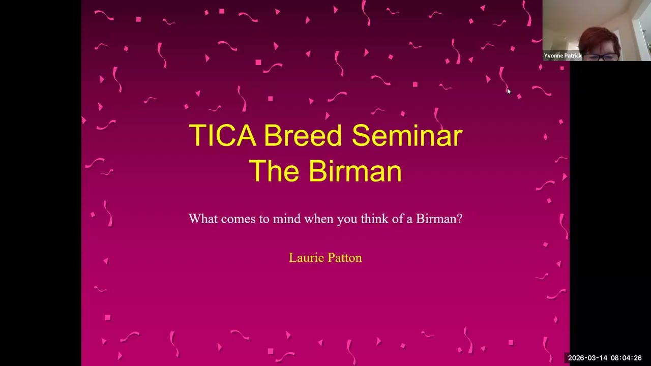 Birman Breed Seminar by Laurie Patton